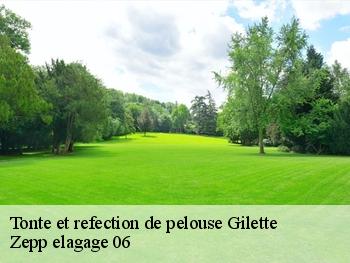 Tonte et refection de pelouse  gilette-06830 Zepp elagage 06